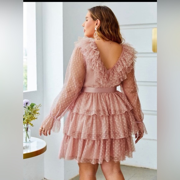 Shein pink polka dot mesh dress - Picture 5 of 5